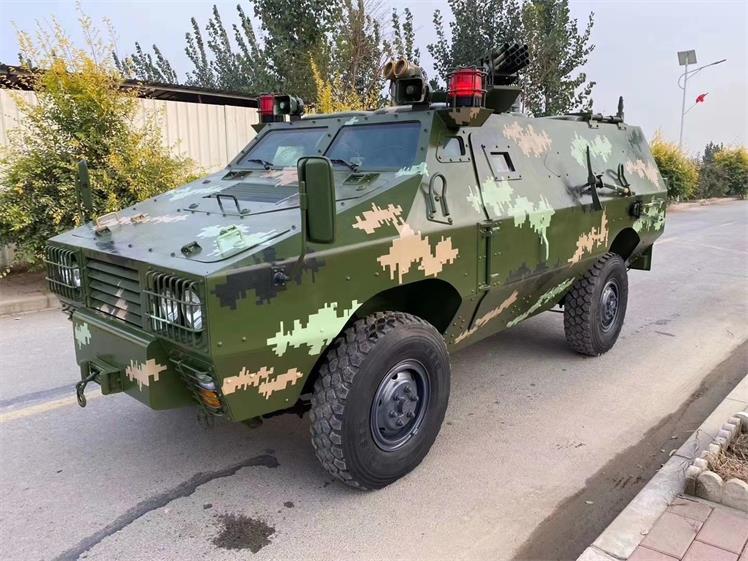 北安市军事模型